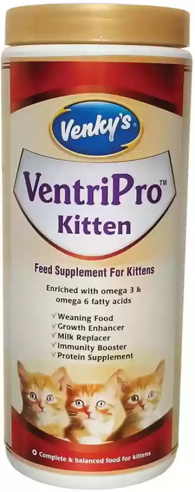 Ventri Pro kitten